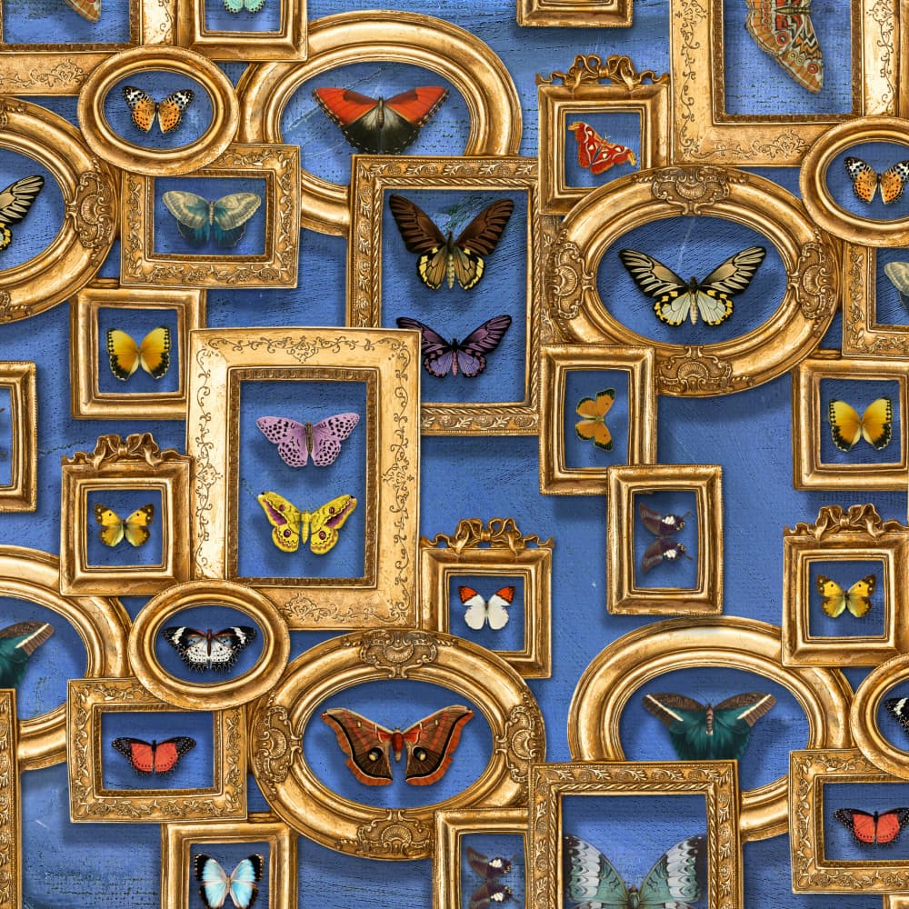 Butterflies In Gold Frames by Marja van den Hurk — canvas wall art