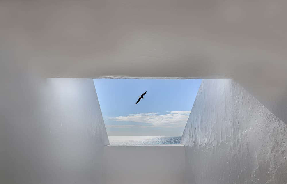 Seagull's Ocean Window by Anita Palceska — canvas wall art