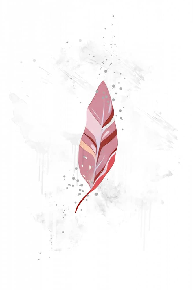 Pink Bohemian Feather by Rafal Kulik — canvas wall art