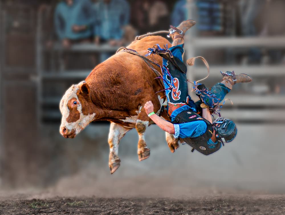 Cowboy And Bucking Bull by Frank Ma — canvas wall art