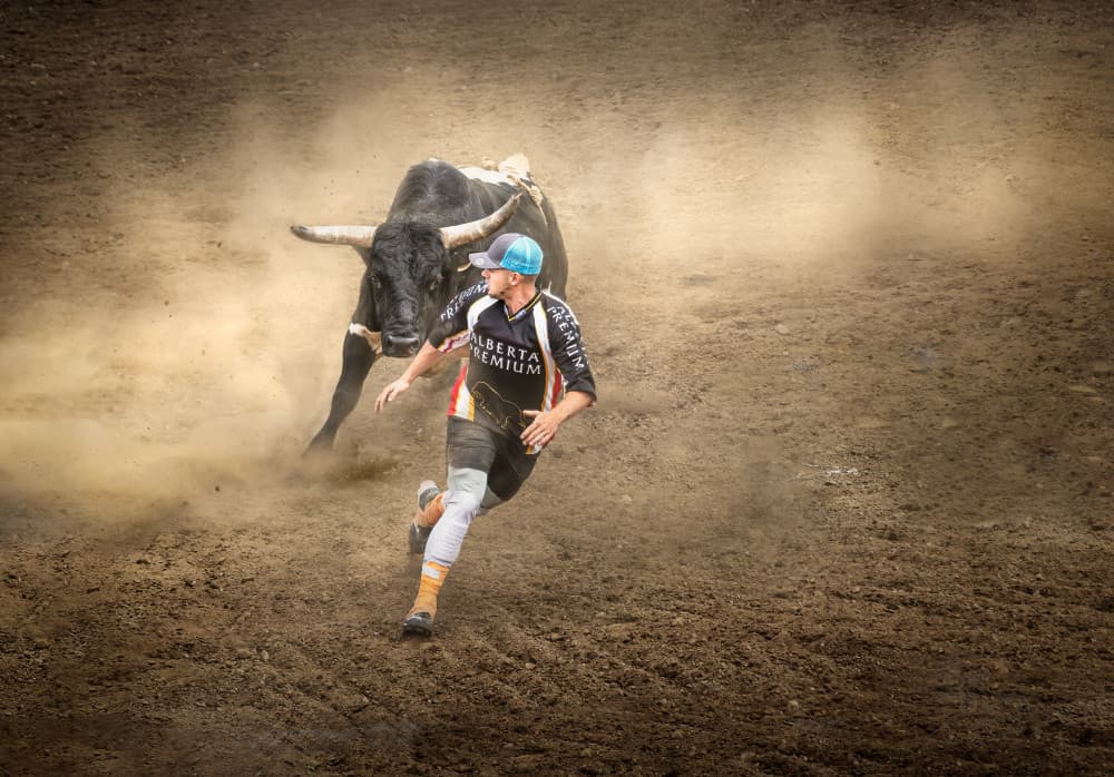 Rodeo Bull Chase by Leeian Dai — canvas wall art