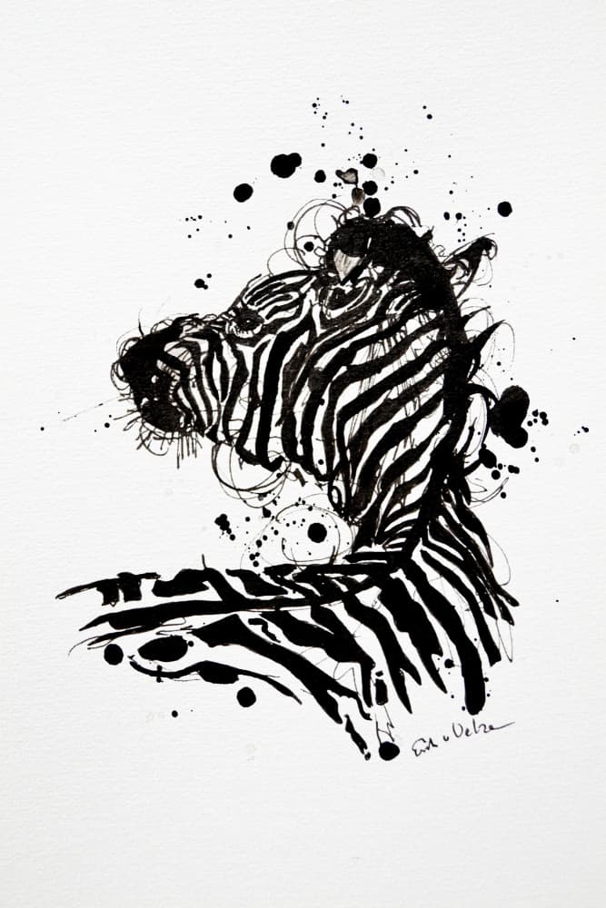 Wild Zebra Ink Splash by Erik Van Velzen — canvas wall art