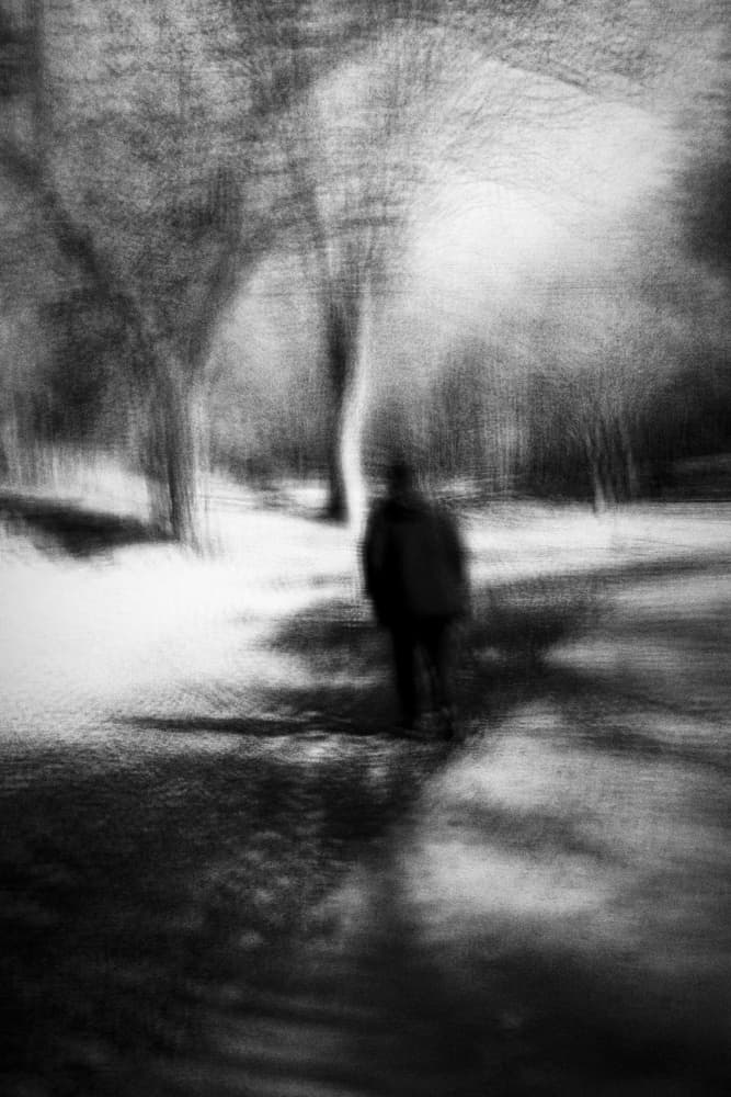 Solitary Winter Walk by Wanjae Choi — canvas wall art
