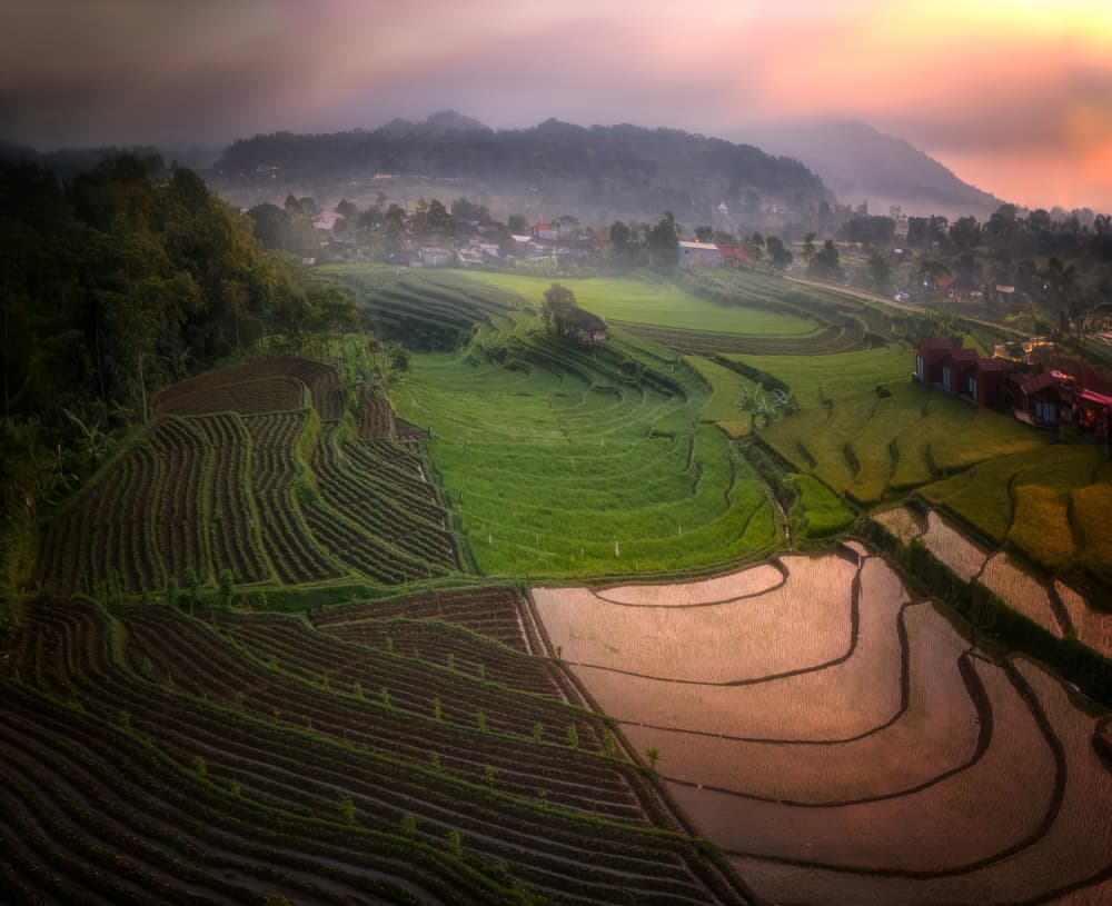 Golden Rice Terraces Morning by Yuan Su — canvas wall art