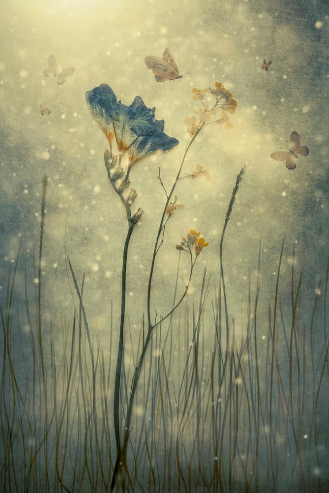Ethereal Blue Flower Meadow by Cicek Kiral — canvas wall art