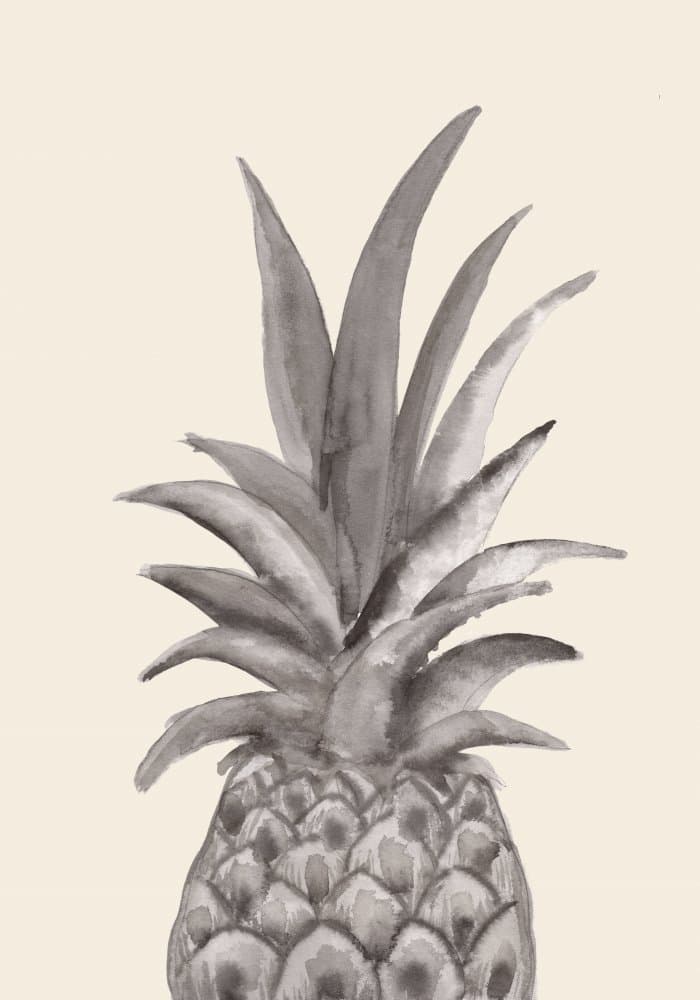Minimalist Tropical Pineapple by Pictufy Studio — canvas wall art