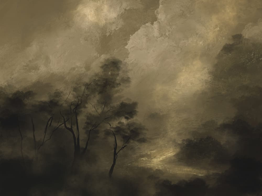 Moody Woods by Dan Hobday — canvas wall art