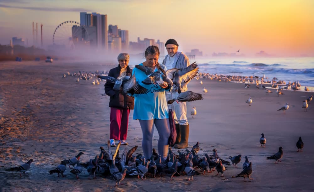 Golden Hour Beach Feeding by Jianping Yang — canvas wall art