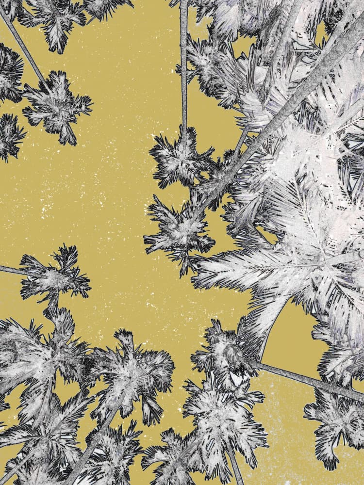 Tropical Yellow Palms by Santhosh ch — canvas wall art