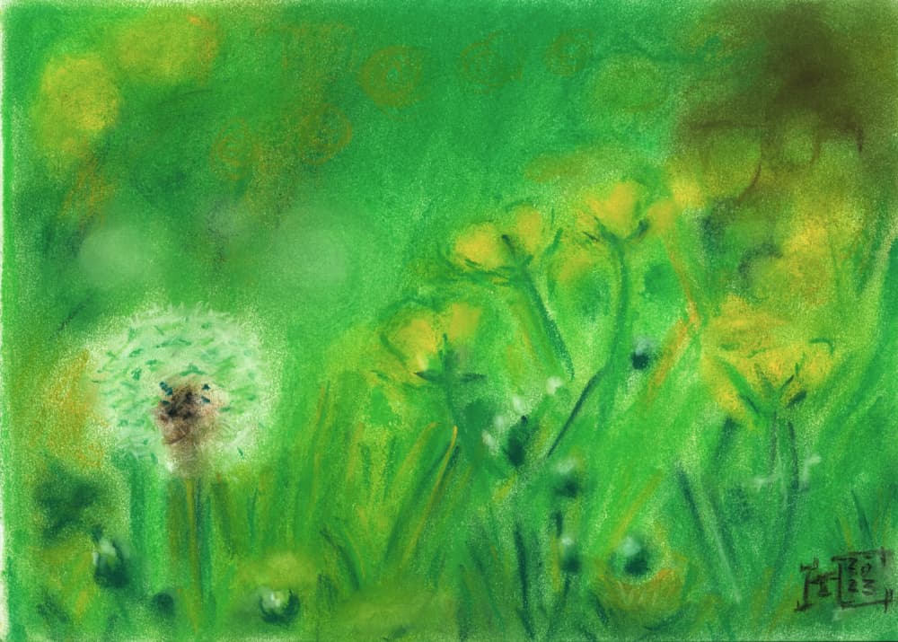 Summer Dandelion Field by Tim Hoinkis — canvas wall art