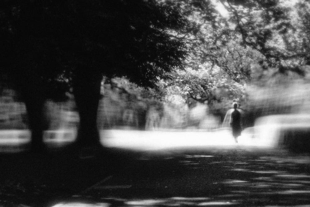 Ethereal Park Stroll by Teruhiko Tsuchida — canvas wall art