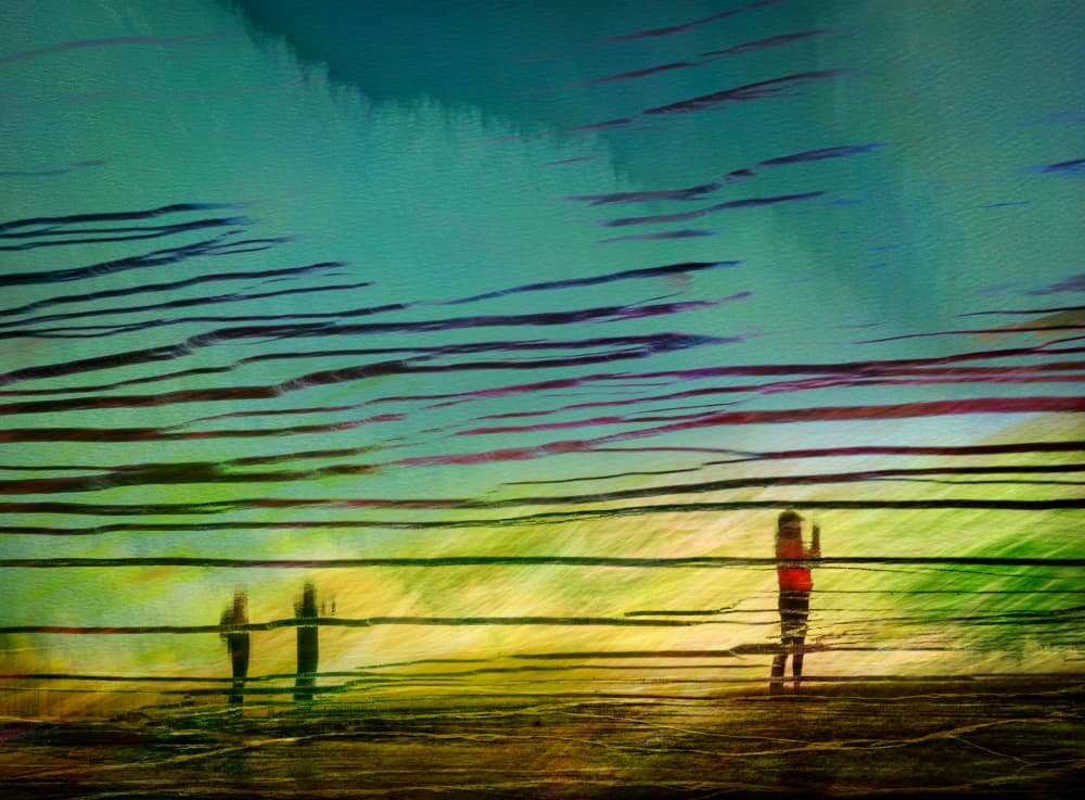 Abstract Sunset Silhouettes by Shenshen Dou — canvas wall art