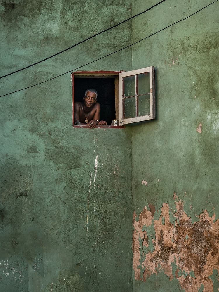 Peeking From Green Window by Andy Bauer — canvas wall art