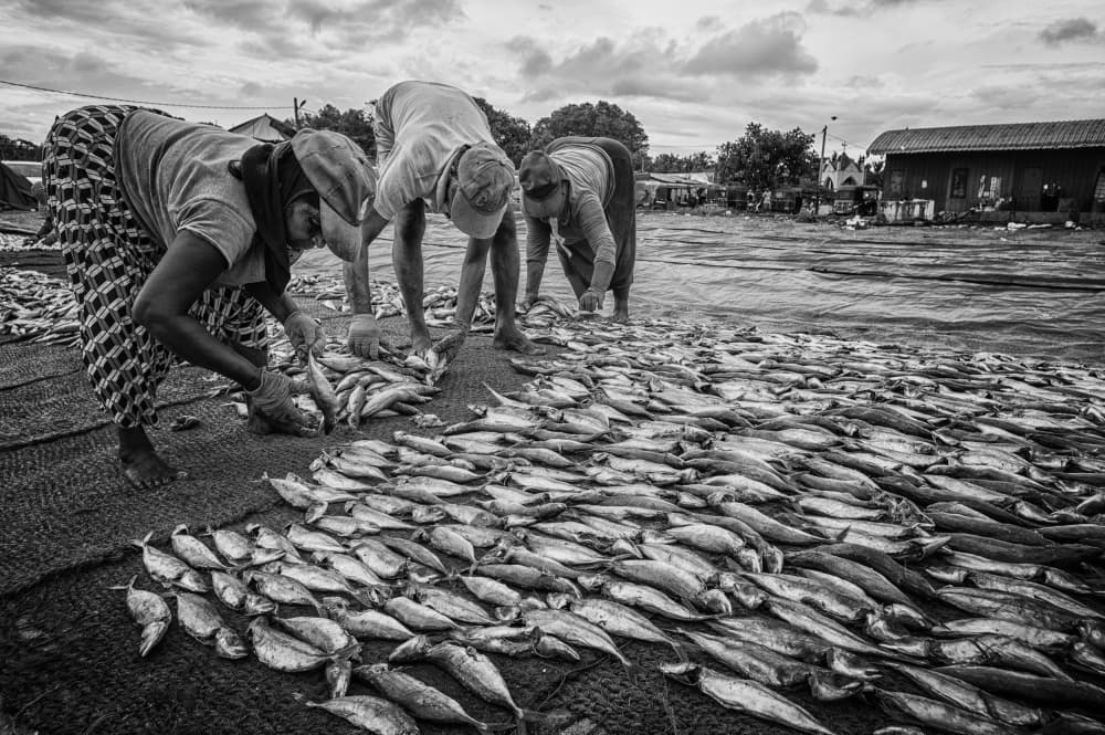 Workers Drying Fish by Pavol Stranak — canvas wall art