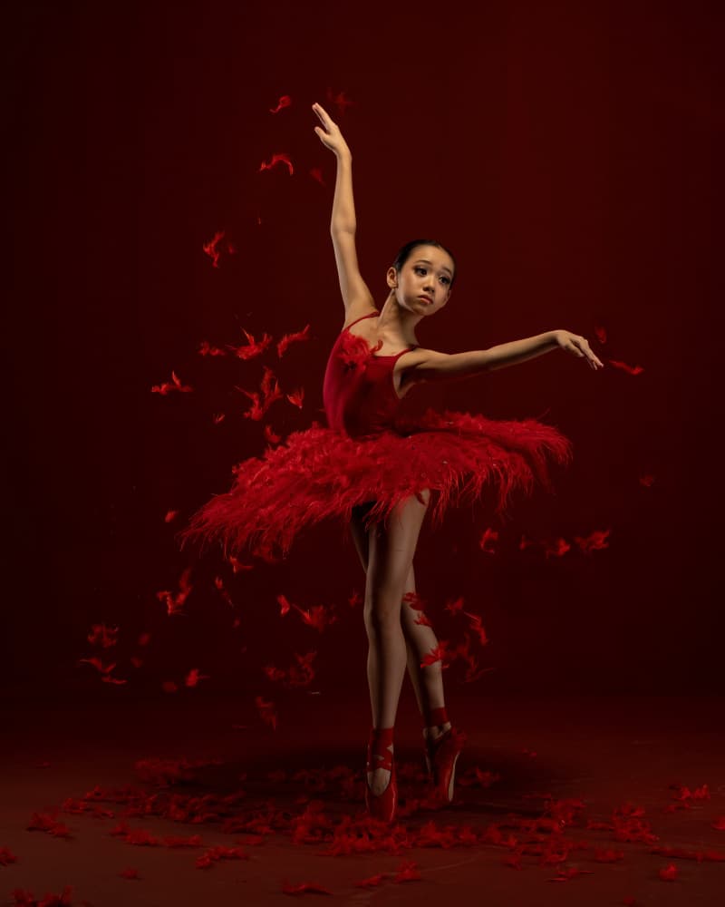 Crimson Feathered Dancer by Lisdiyanto Suhardjo — canvas wall art