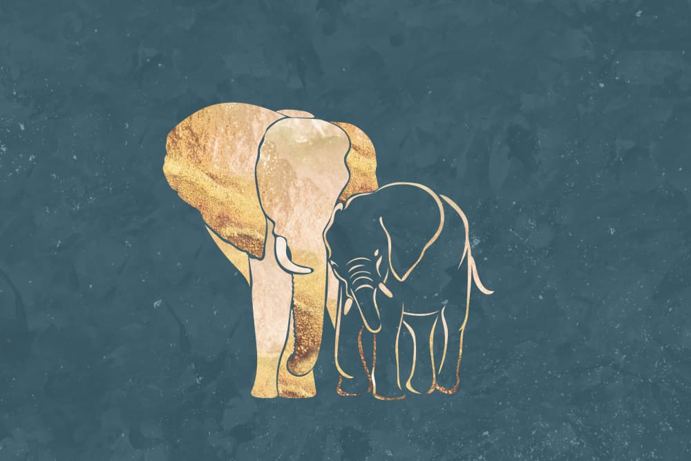 Golden Elephant Love by Sarah Manovski — canvas wall art
