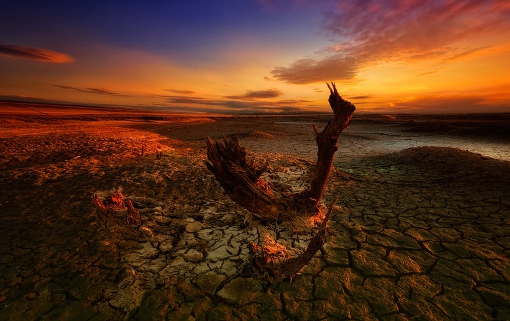 Cracked Earth Sunset by Piotr Krol (Bax) — canvas wall art