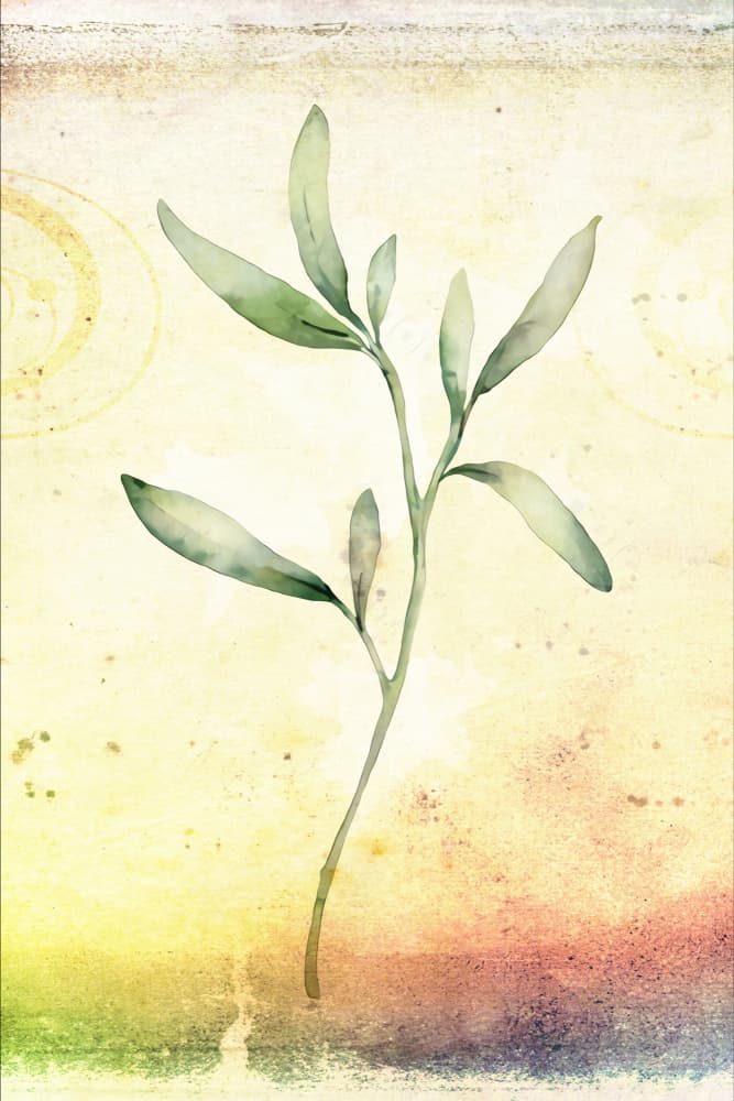Delicate Botanical Branch by Rafal Kulik — canvas wall art