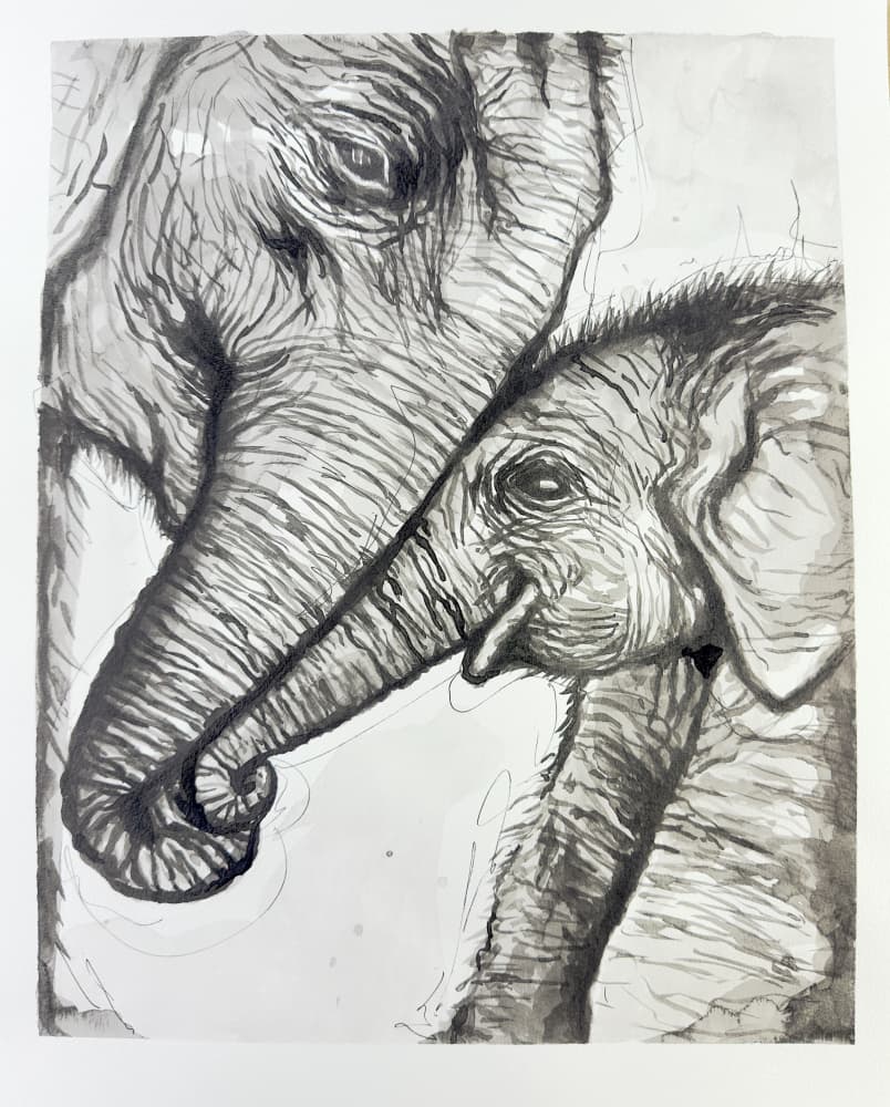 Mother Elephant Love by Suzan Habib — canvas wall art
