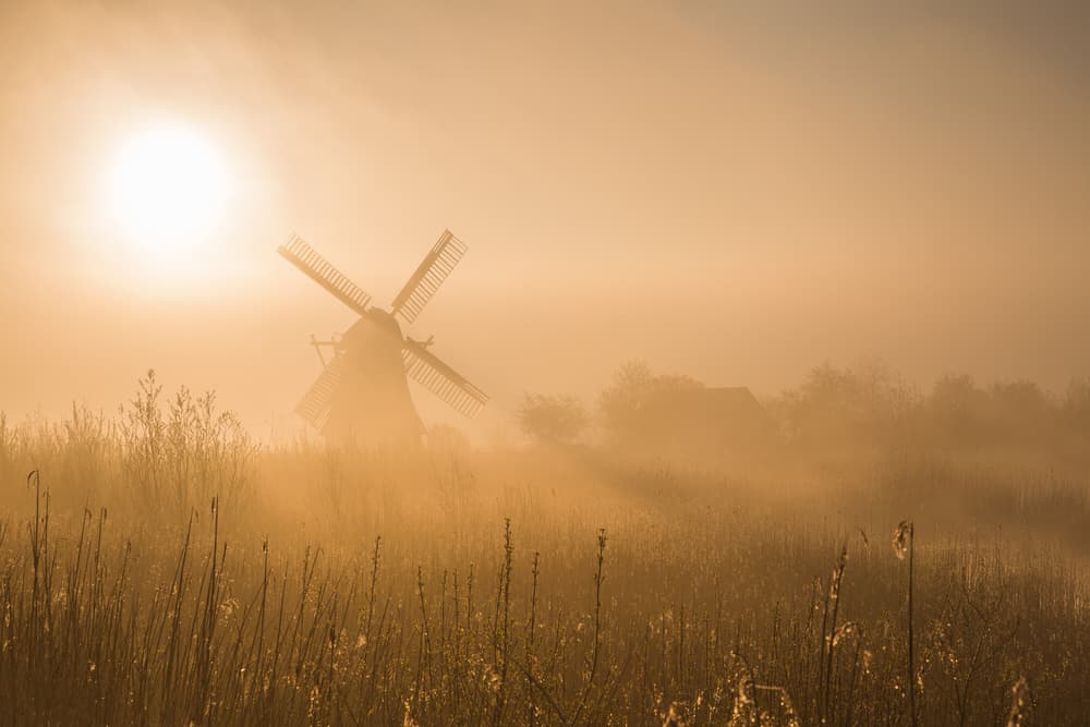 Misty Morning Windmill Glow by Ton Drijfhamer — canvas wall art