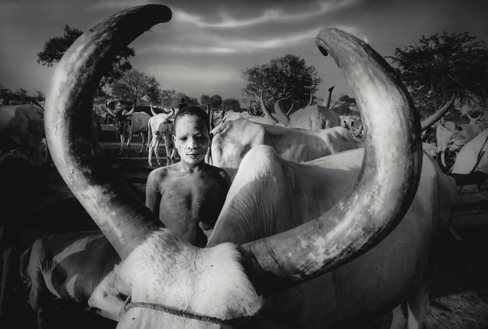 African Boy Long Horns by Svetlin Yosifov — canvas wall art