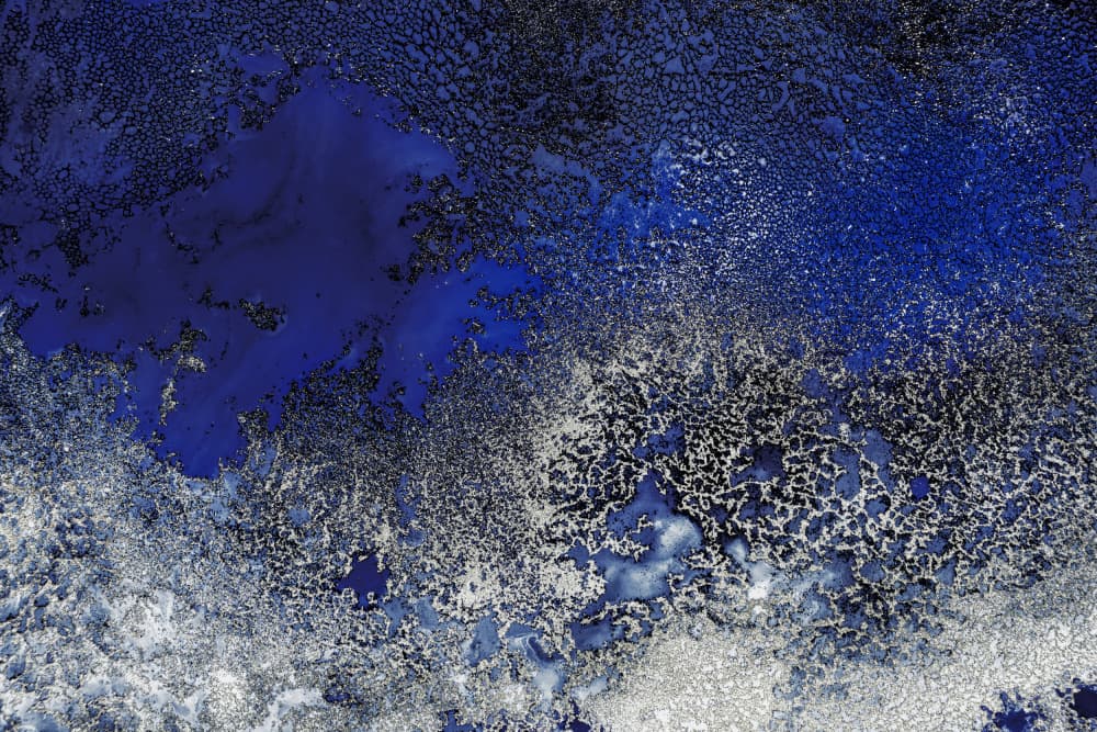 Sunlit Reef Upscaled Cgi 13287w Copy by Petra Meikle de Vlas — canvas wall art