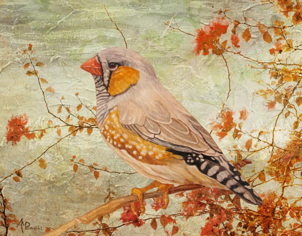 Zebra Finch on Branch by Angeles M. Pomata — canvas wall art