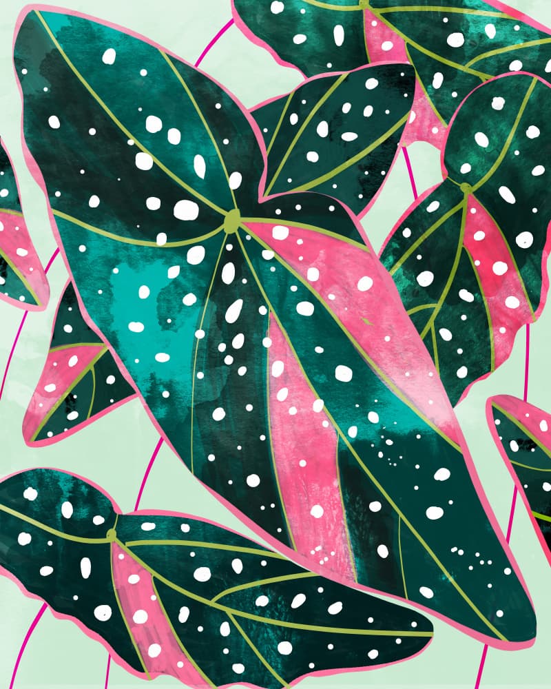 Vibrant Begonia Leaves by Uma Gokhale — canvas wall art