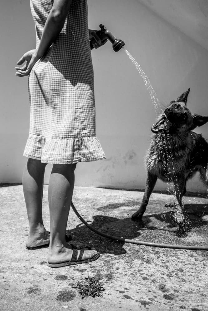 Woman Watering Dog by António Zarco — canvas wall art
