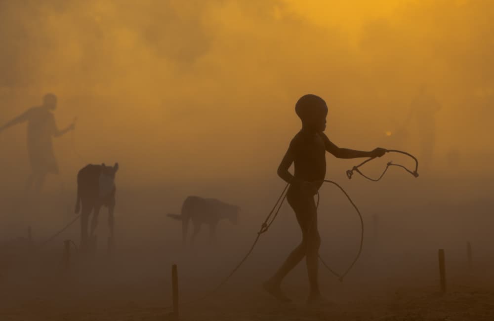 Dinka Boy Herding Cattle by Amihay Shraga — canvas wall art