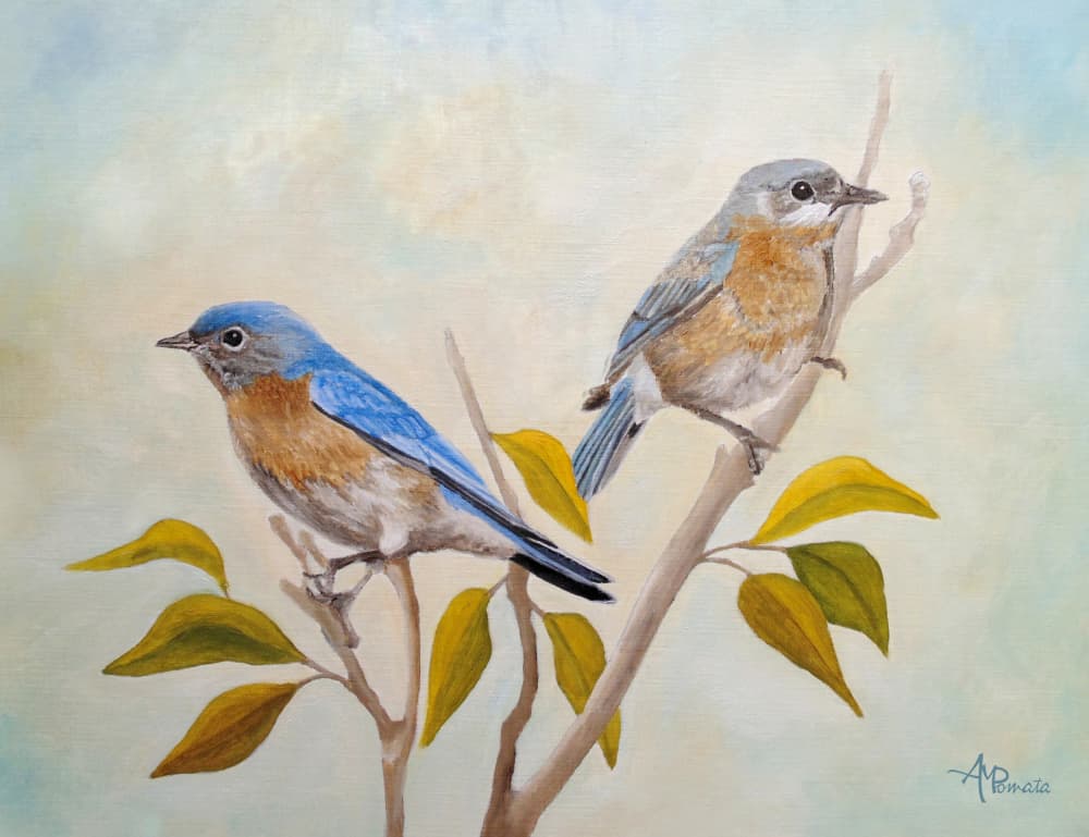Two Bluebirds Perched by Angeles M. Pomata — canvas wall art