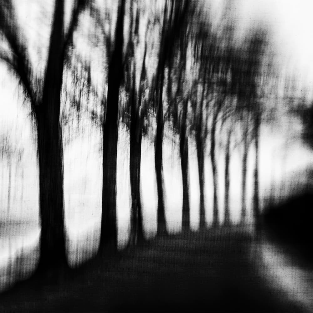 Blurred Tree Path by Imaginative — canvas wall art