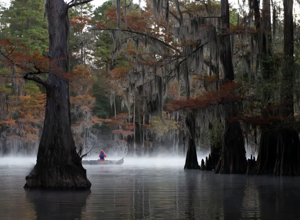 Misty Cypress Canoeing by NanZ — canvas wall art