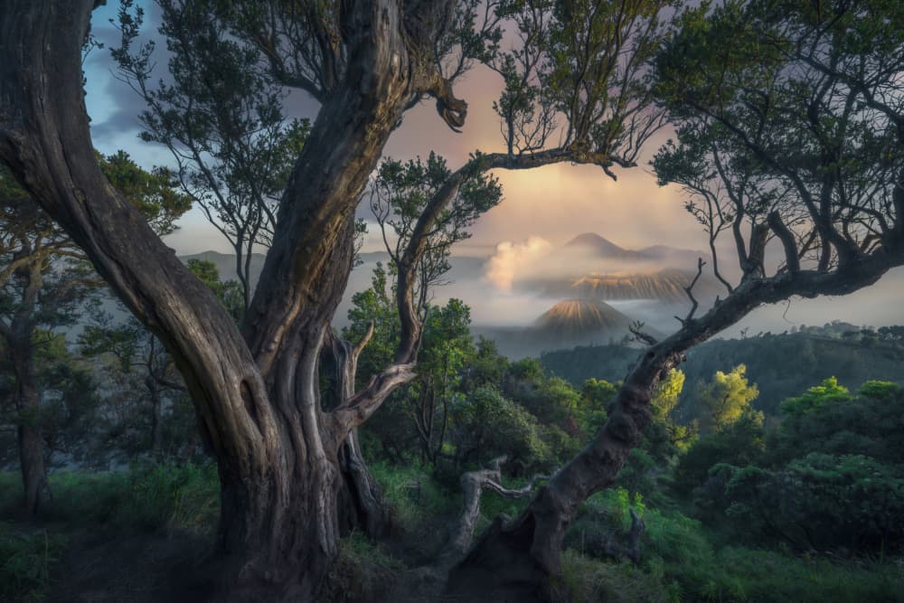 Framed Volcano View by NingYun Ye — canvas wall art