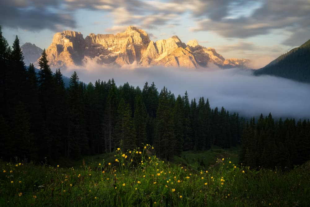 Golden Peaks Valley Fog by Yongnan Li (李永男) — canvas wall art