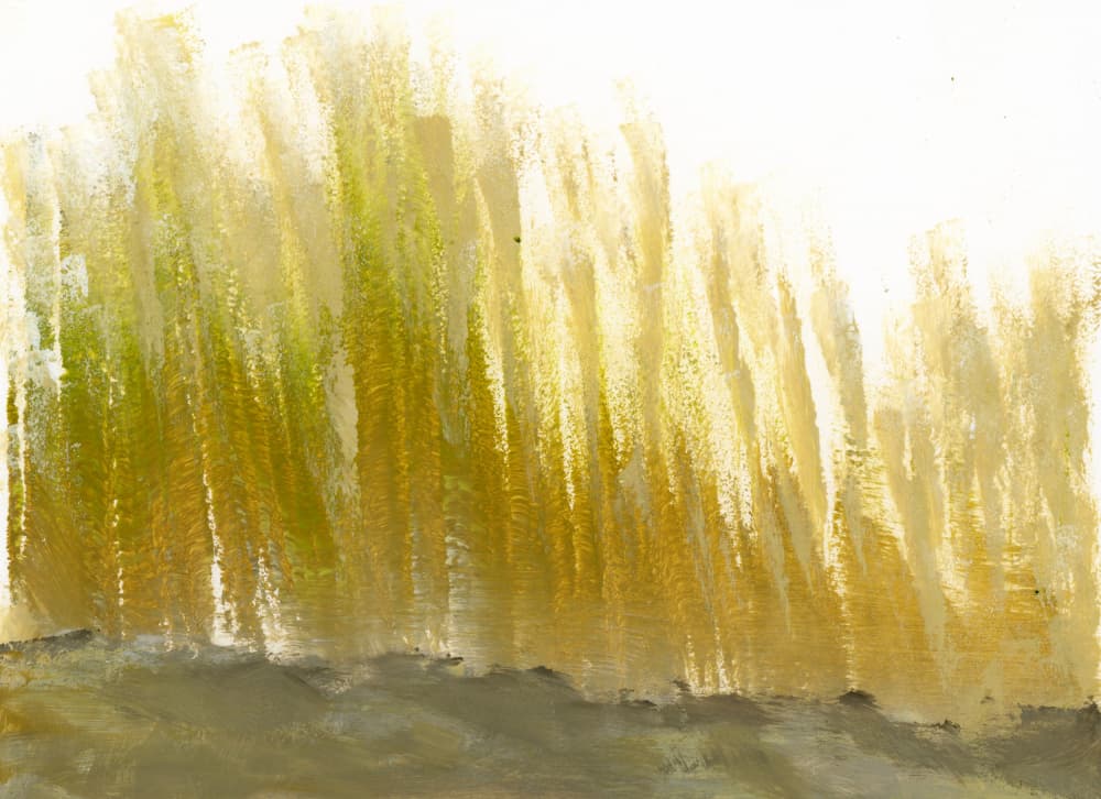 Tall Grass Glow by Breanna Megan Studio — canvas wall art