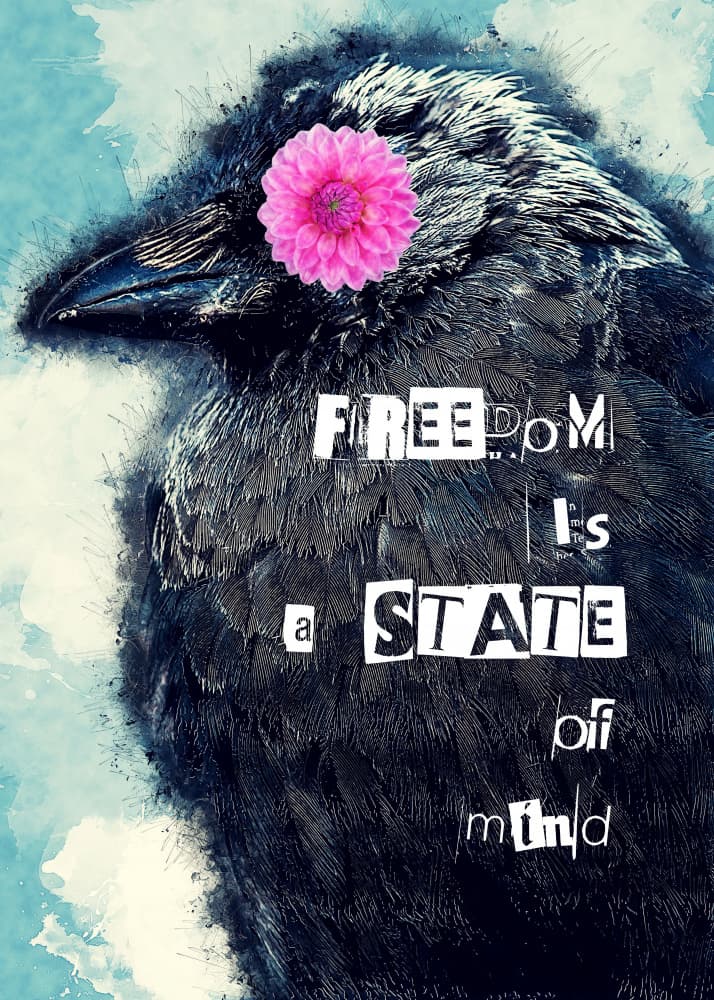 Raven Freedom Mind by Justyna Jaszke — canvas wall art
