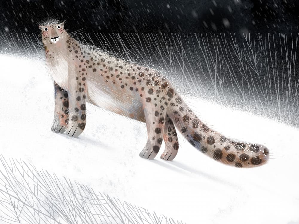 Snow Leopard Winter Night by Olga Skomorokhova — canvas wall art