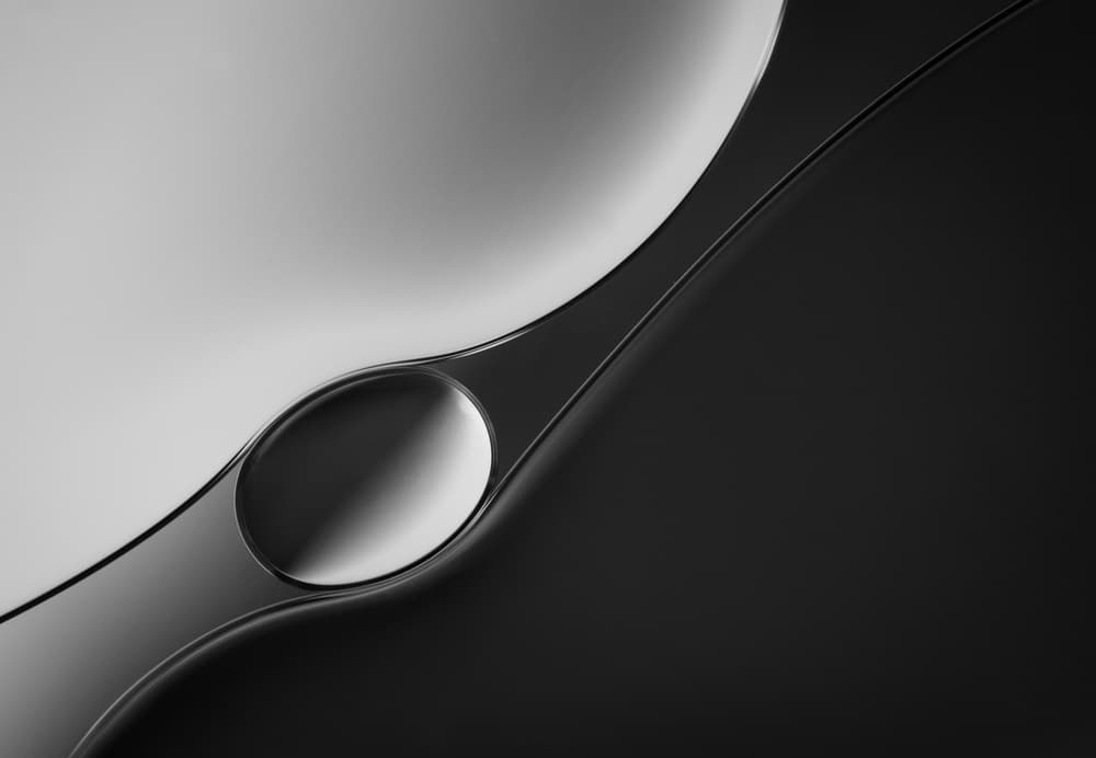Sleek Abstract Curves by Jacqueline Hammer — canvas wall art