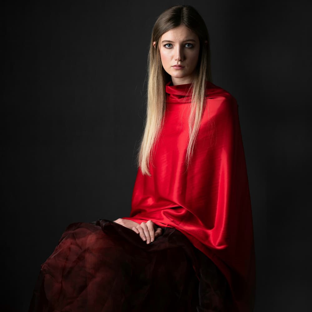 Elegant Woman In Red by Hooman Sedaghi — canvas wall art