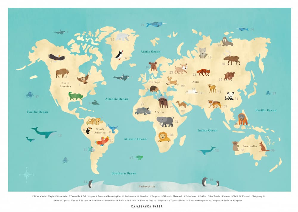 Illustrated Animal World Map by Erik Wintzell — canvas wall art
