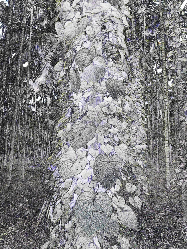 Lush Vine Covered Tree by Santhosh ch — canvas wall art