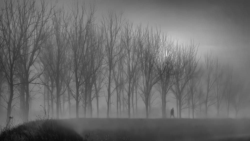 Solitary Walk In Fog by Claudio Moretti — canvas wall art
