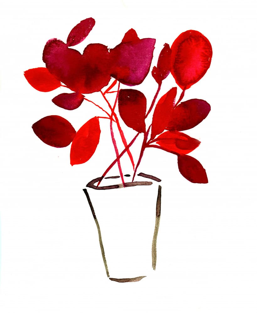 Red Potted Plant by Christine Lindstrom — canvas wall art