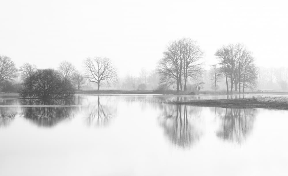 Misty Winter Reflections by Ria Groot Zevert — canvas wall art