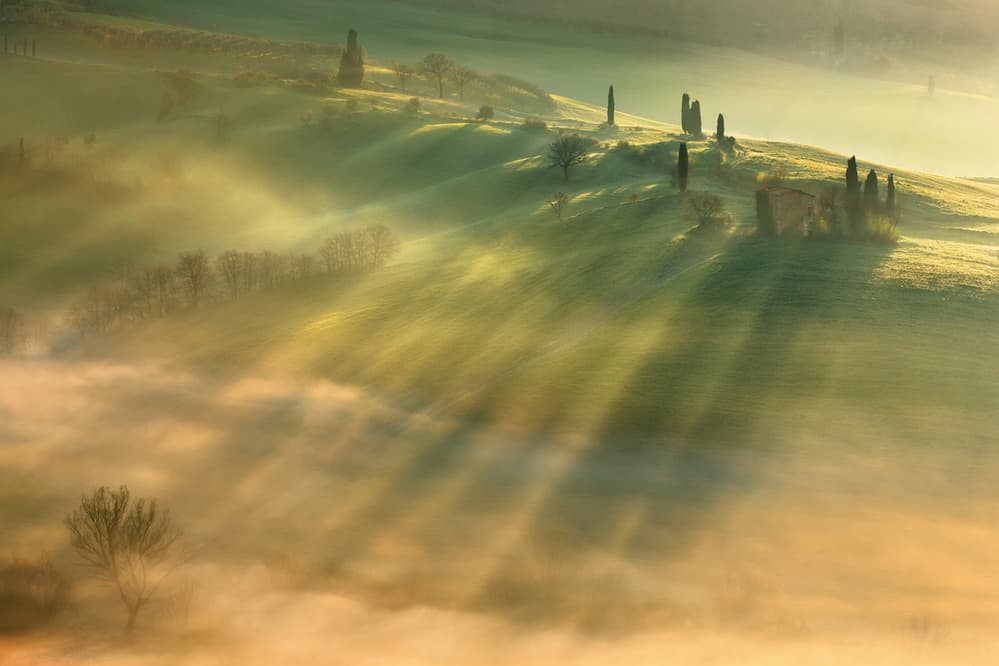 Golden Morning Mist by Krzysztof Browko — canvas wall art