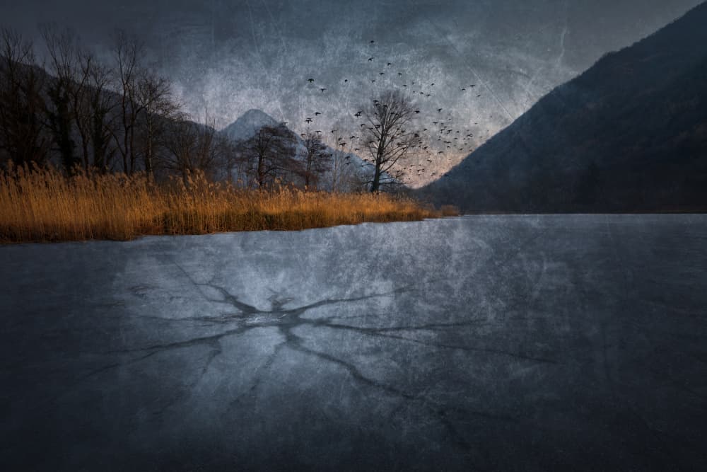 Frozen Mountain Lake Birds by Fiorenzo Carozzi — canvas wall art