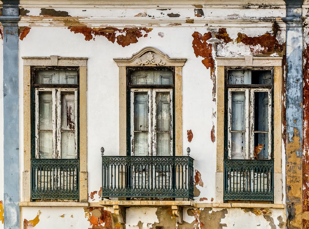 Weathered Windows Cat by Adam Dauria ☂ — canvas wall art