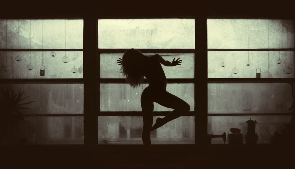 Graceful Nude Silhouette by Paul — canvas wall art