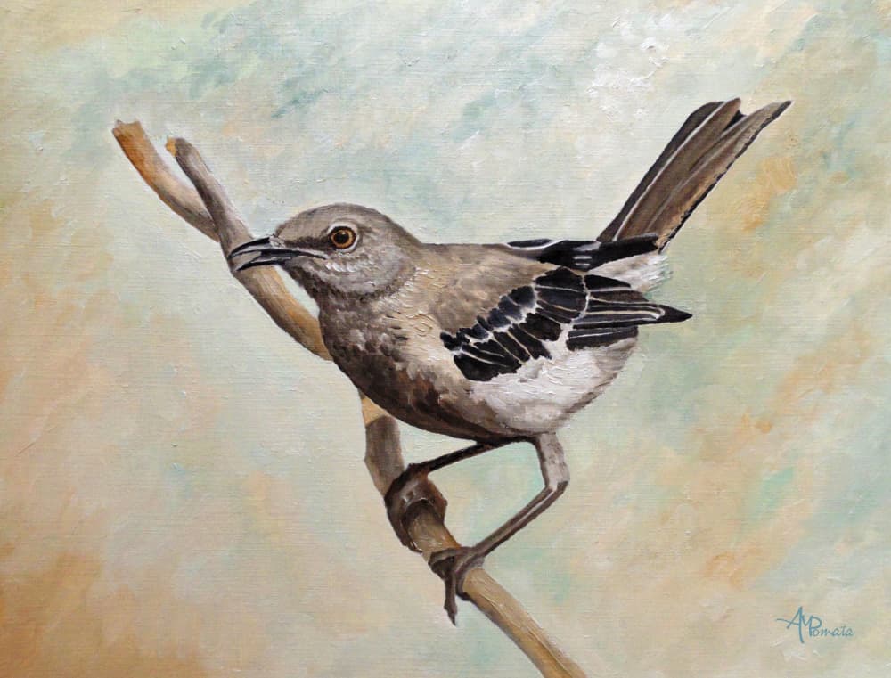 Mockingbird On Branch by Angeles M. Pomata — canvas wall art